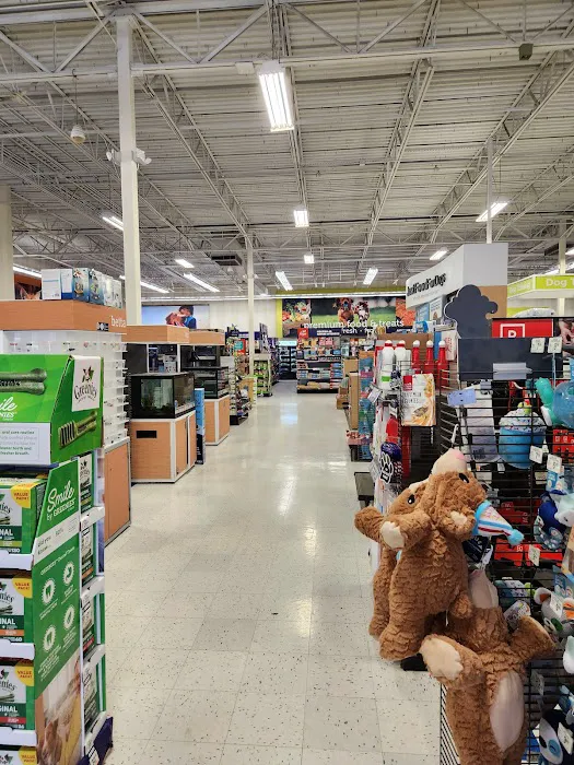 Petco Picture 2