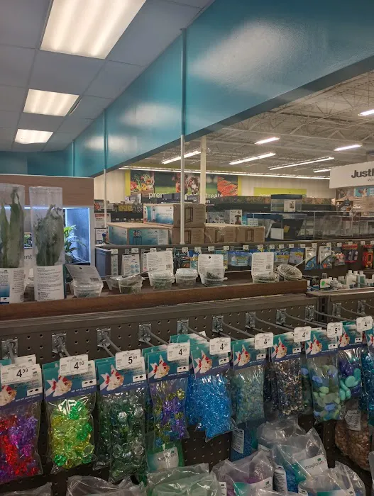 Petco Picture 7