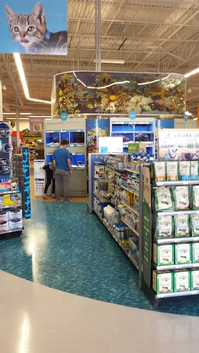 Petco Picture 7