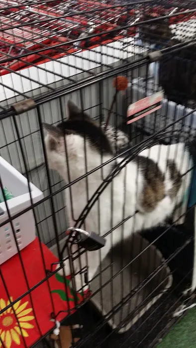 Petco Picture 6