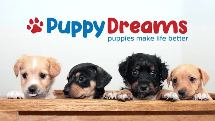 Puppy Dreams - Mansfield Picture 3
