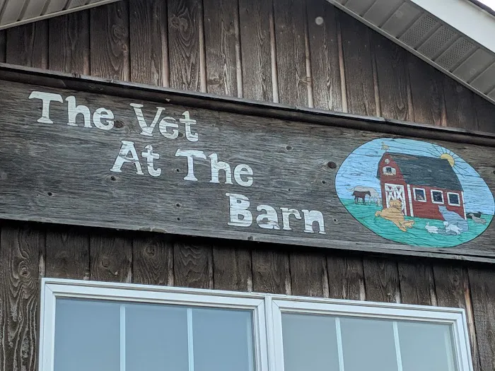 Vet At the Barn Picture 7