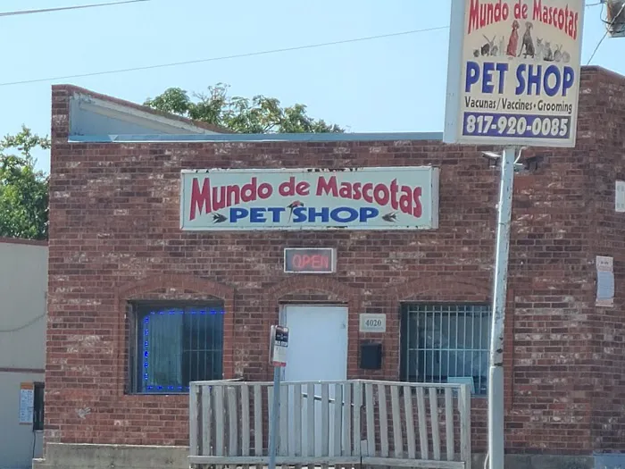 Mundo De Mascotas Picture 3