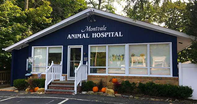 Montvale Animal Hospital Picture 1