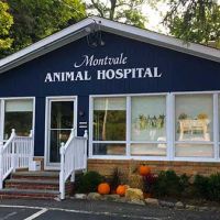 Montvale Animal Hospital ico