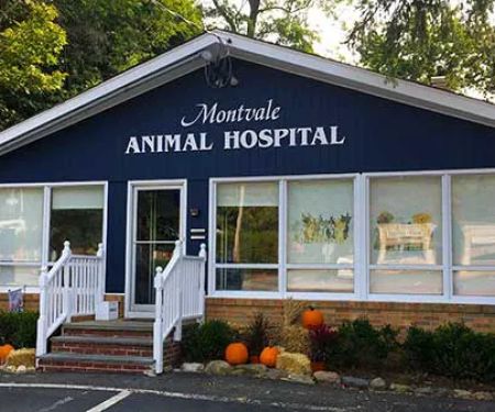 Montvale Animal Hospital