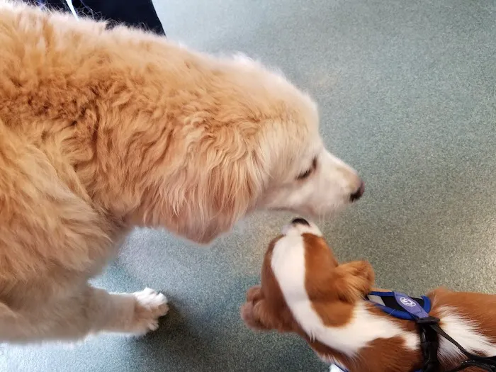 Montvale Animal Hospital Picture 2