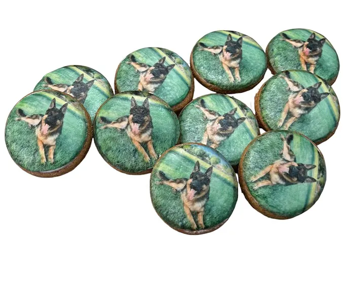 Pawl's K-9ery Picture 6