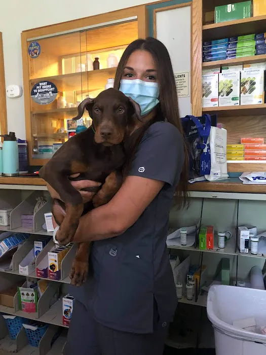 VCA Pine Bush Animal Hospital Picture 2