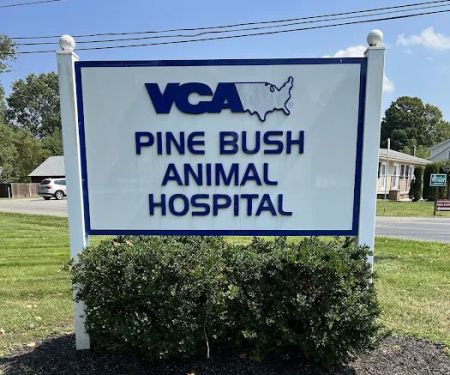 VCA Pine Bush Animal Hospital