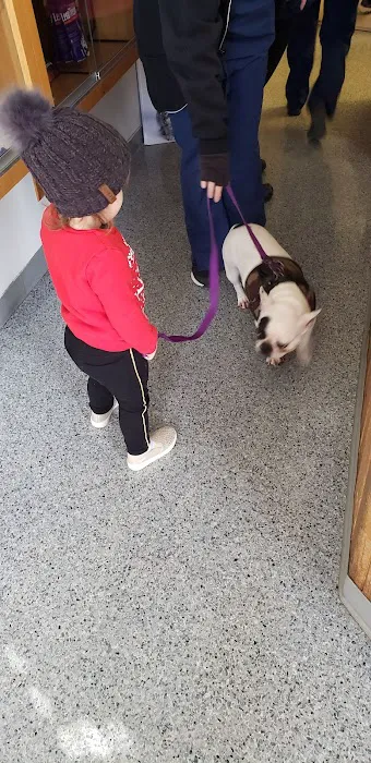 VCA Pine Bush Animal Hospital Picture 5