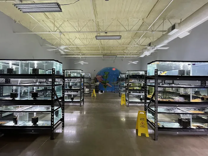 Axolotl Planet Picture 6