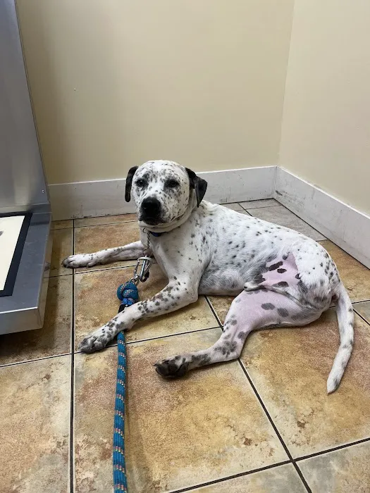 Montgomery Veterinary Hospital Picture 2