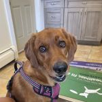 Montgomery Veterinary Hospital