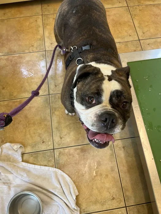 Montgomery Veterinary Hospital Picture 5