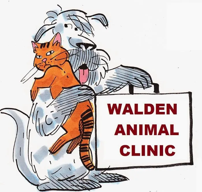 Walden Animal Clinic: Stephen Kelly DVM Picture 1