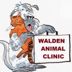 Walden Animal Clinic: Stephen Kelly DVM