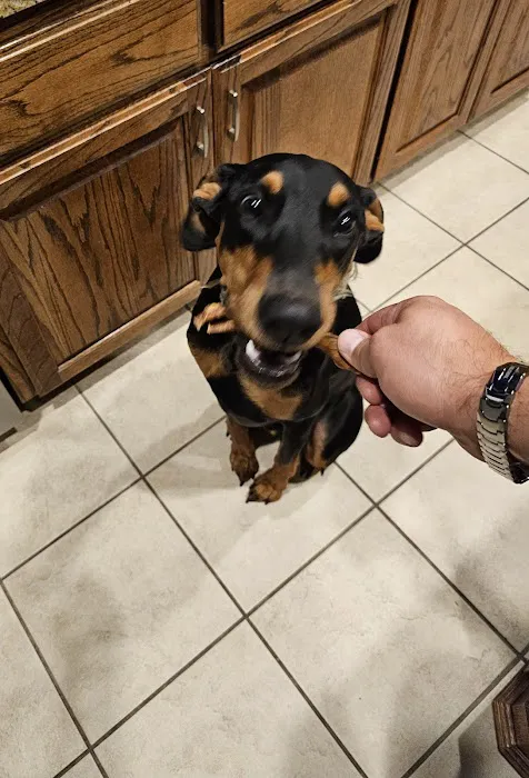 Jack's Premium Picture 4