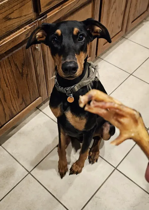 Jack's Premium Picture 1