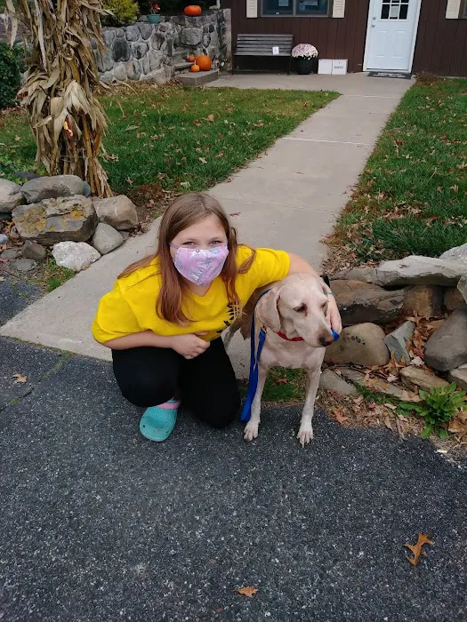 Walden Animal Clinic Picture 1