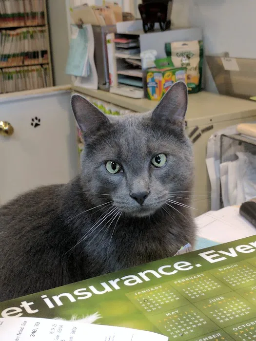 Walden Animal Clinic Picture 7
