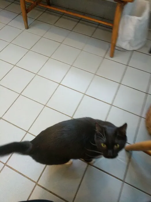 Walden Animal Clinic Picture 8