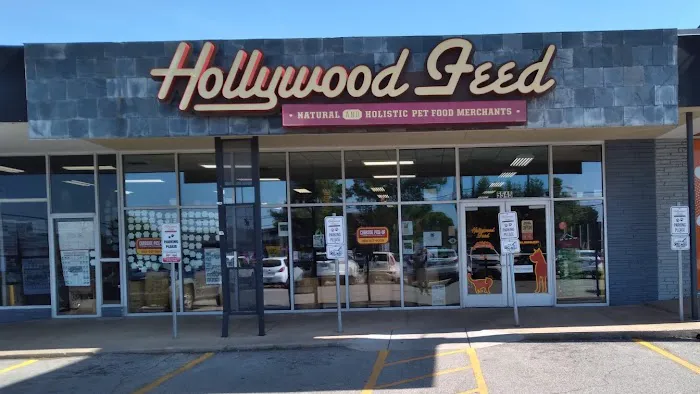 Hollywood Feed Picture 1