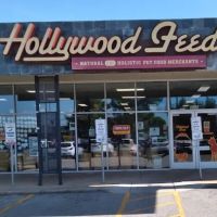 Hollywood Feed ico