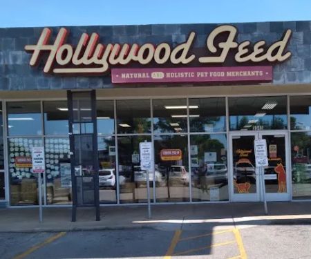 Hollywood Feed