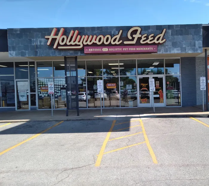 Hollywood Feed Picture 2