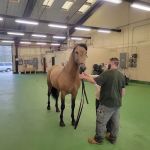 USDA NEW YORK ANIMAL IMPORT CENTER