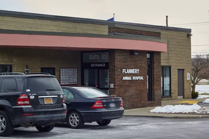 VCA Flannery Animal Hospital Picture 1