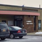 VCA Flannery Animal Hospital