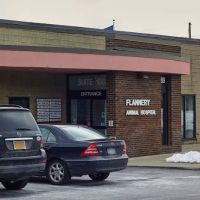VCA Flannery Animal Hospital ico