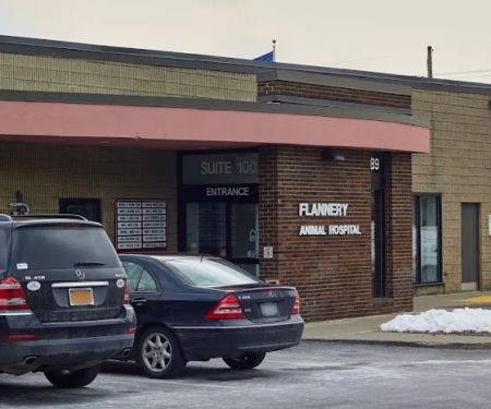 VCA Flannery Animal Hospital