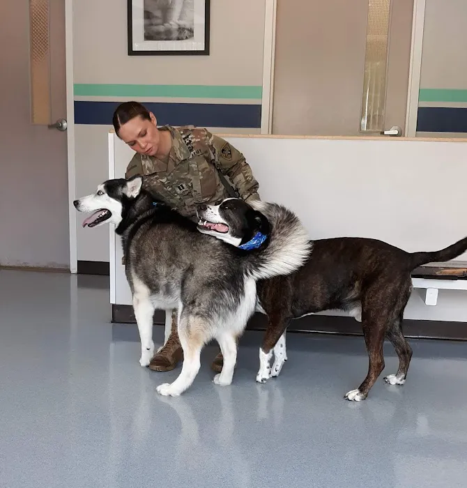 VCA Flannery Animal Hospital Picture 3