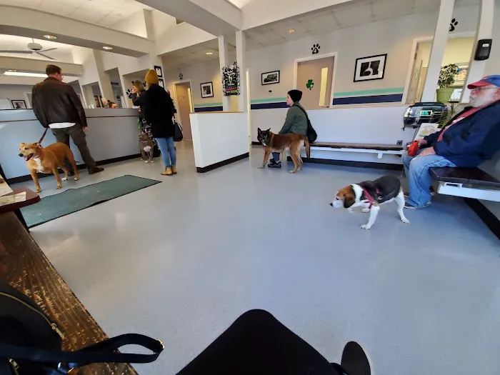 VCA Flannery Animal Hospital Picture 9