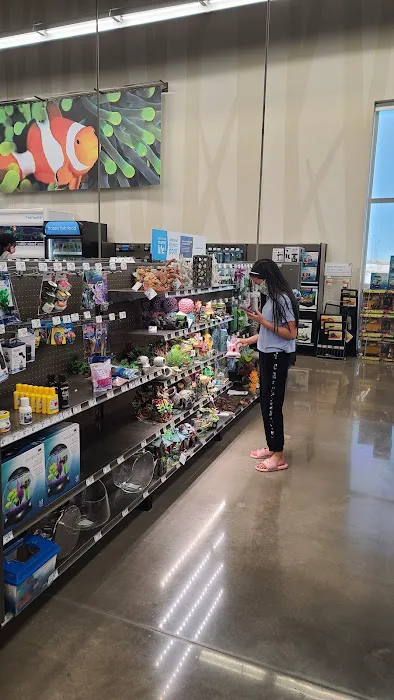 Petco Picture 2