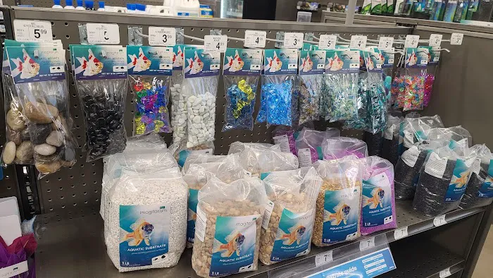 Petco Picture 4