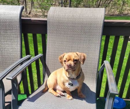 Hudson Valley Veterinary Hospital