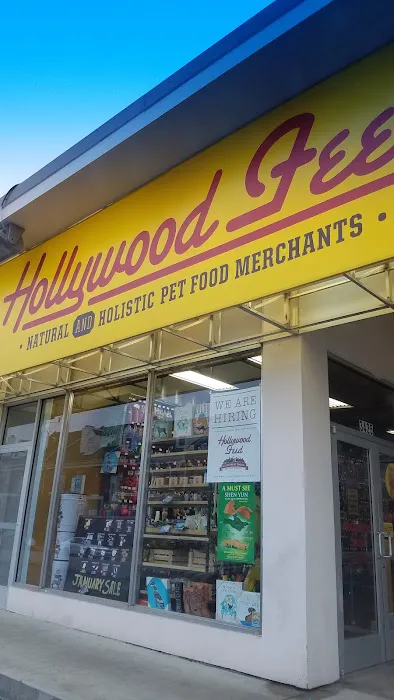 Hollywood Feed Picture 7