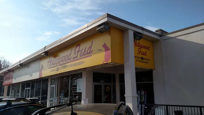 Hollywood Feed Picture 5