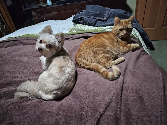 Banfield Pet Hospital Picture 2