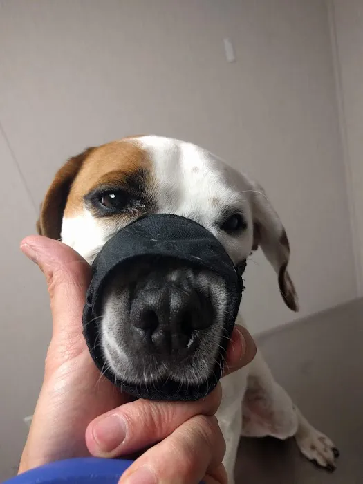 West Point Vet Clinic Picture 1