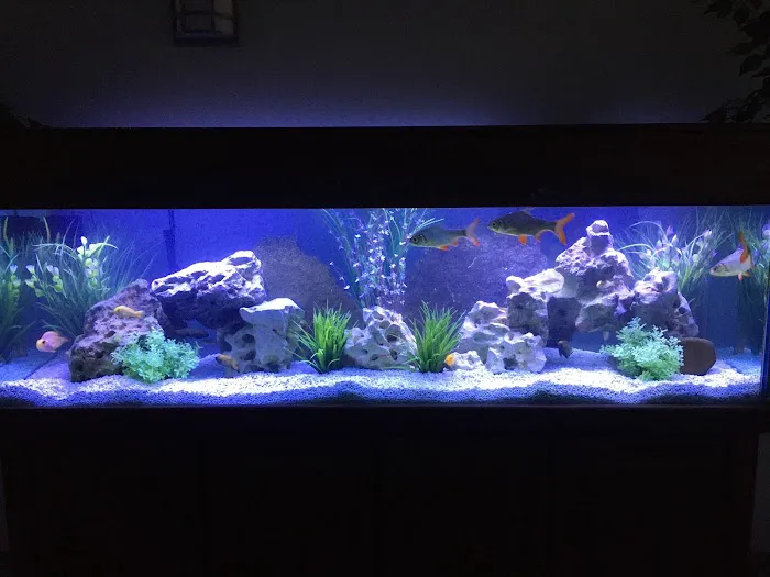 Tidy Waves Aquarium Service Picture 1