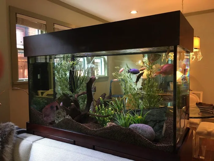 Tidy Waves Aquarium Service Picture 2