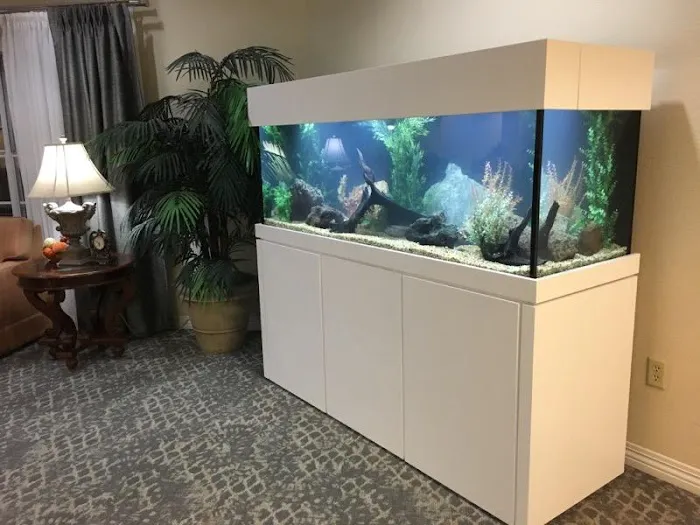 Tidy Waves Aquarium Service Picture 5