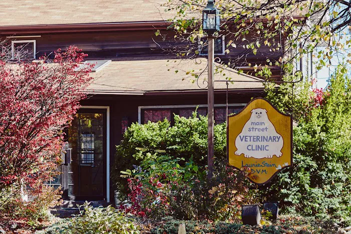 Main Street Veterinary Clinic Picture 2