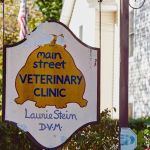 Main Street Veterinary Clinic