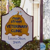 Main Street Veterinary Clinic ico